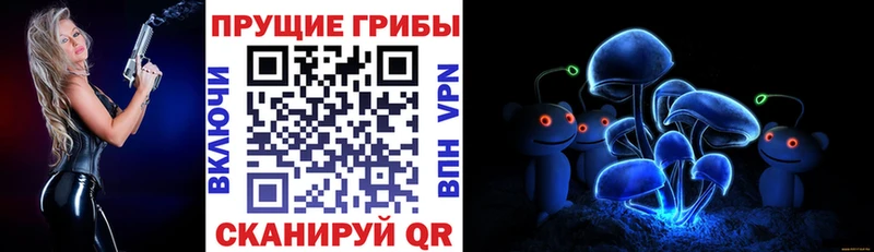 где можно купить   Димитровград  Псилоцибиновые грибы GOLDEN TEACHER 